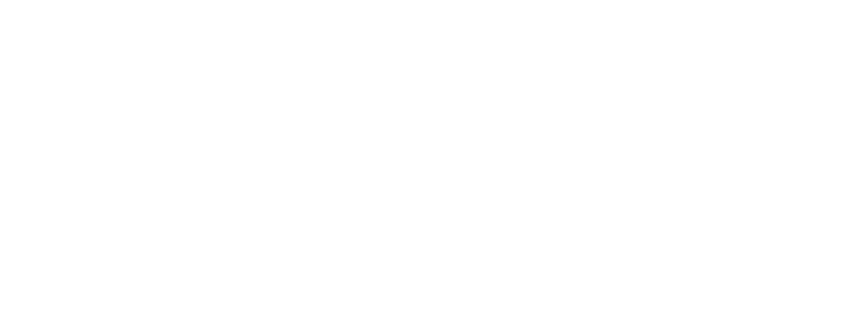 SAILY